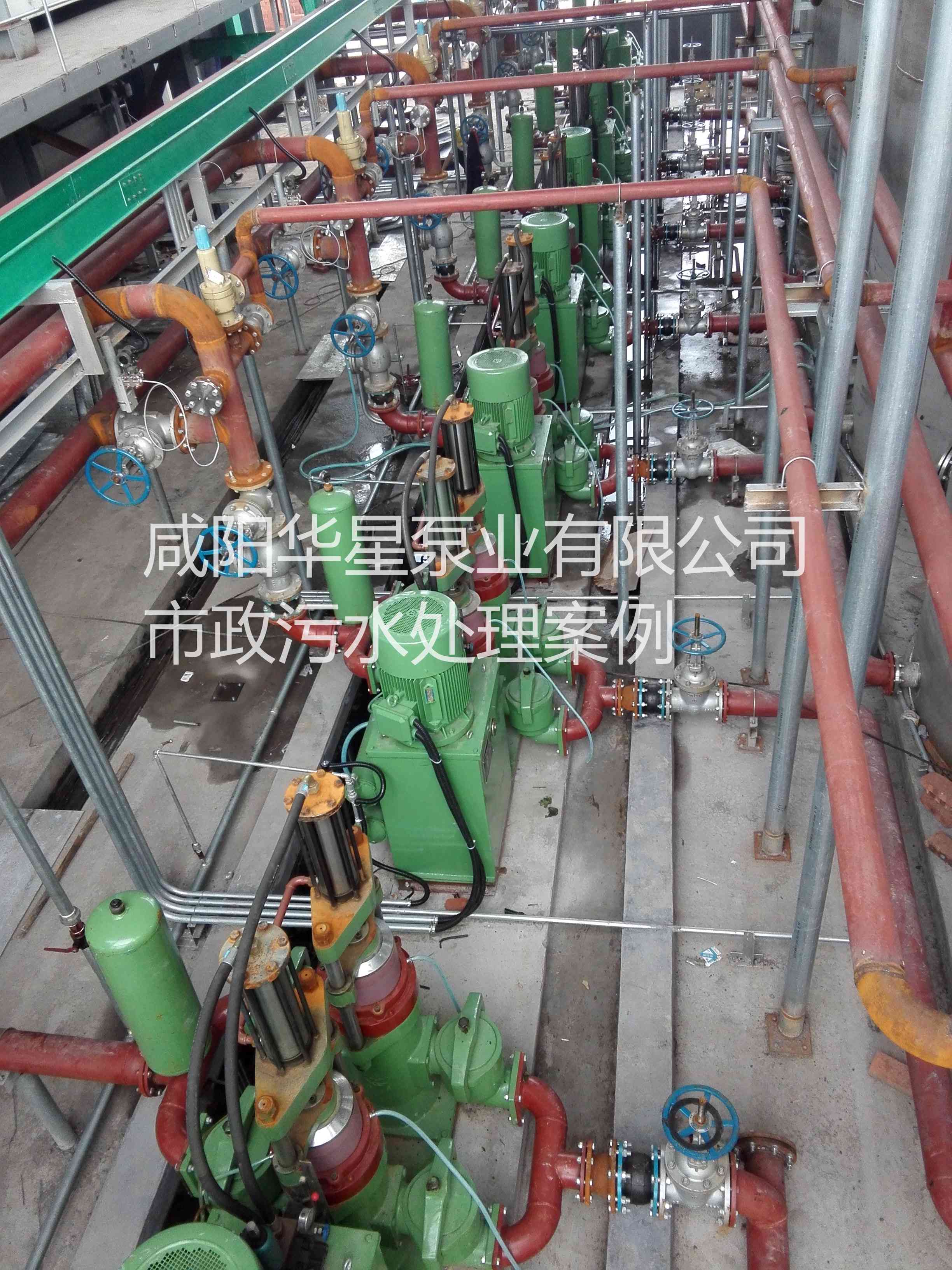 污水處理廠使用YBH250柱塞泥漿泵現(xiàn)場(chǎng)圖片