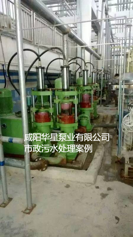 污水處理廠使用YBH200柱塞泥漿泵現(xiàn)場(chǎng)