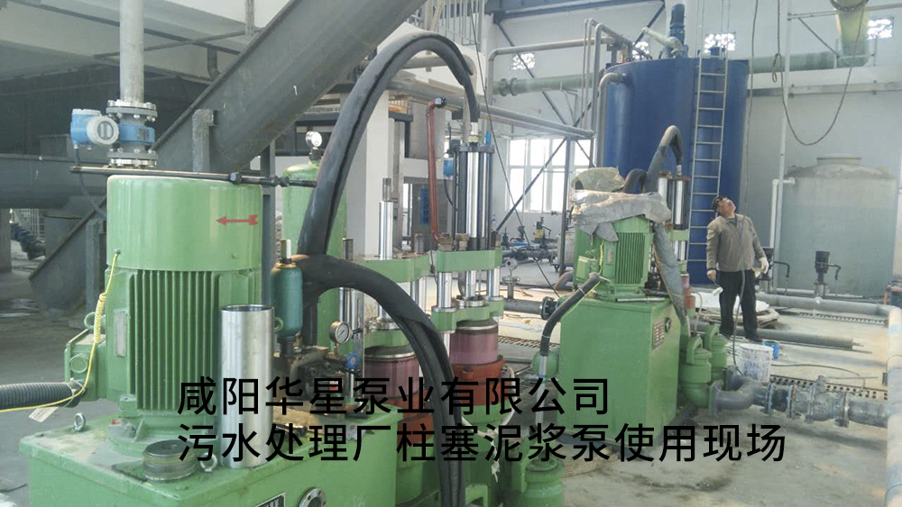 安徽池州清溪污水處理廠-水印 安徽池州清溪污水處理廠-水印